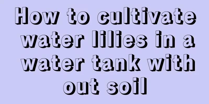 How to cultivate water lilies in a water tank without soil