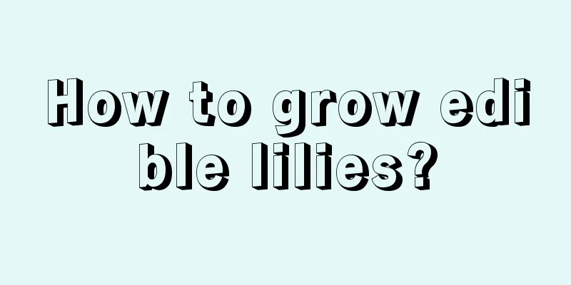 How to grow edible lilies?