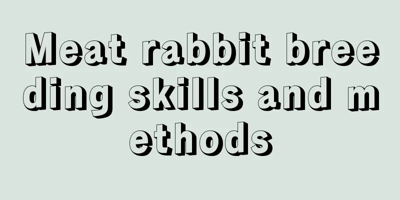 Meat rabbit breeding skills and methods