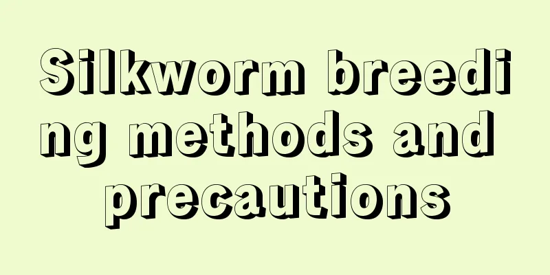 Silkworm breeding methods and precautions