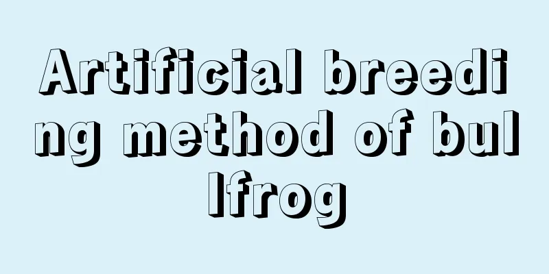 Artificial breeding method of bullfrog