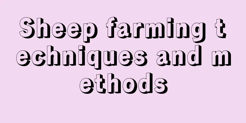 Sheep farming techniques and methods