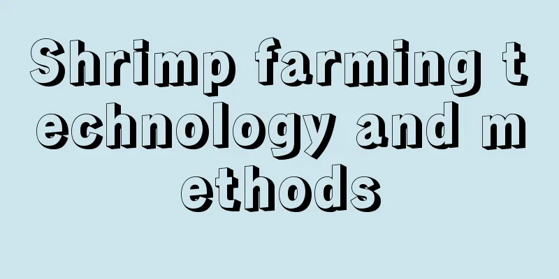 Shrimp farming technology and methods