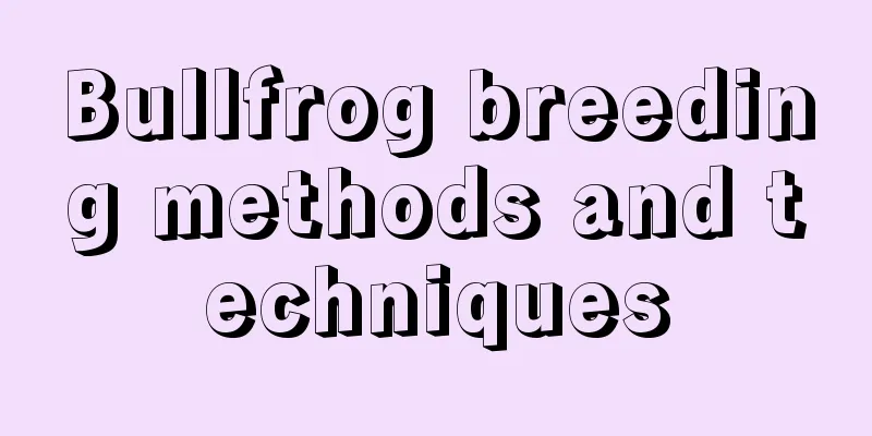 Bullfrog breeding methods and techniques