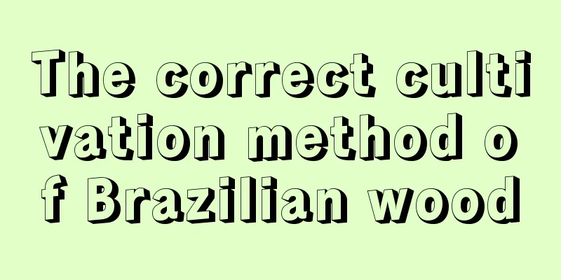 The correct cultivation method of Brazilian wood