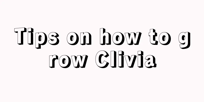 Tips on how to grow Clivia