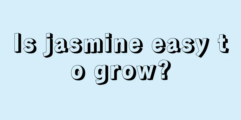 Is jasmine easy to grow?