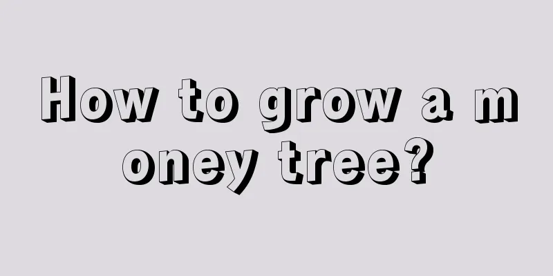 How to grow a money tree?