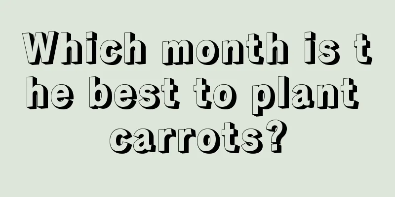 Which month is the best to plant carrots?