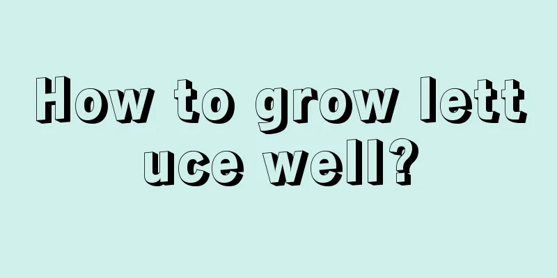 How to grow lettuce well?