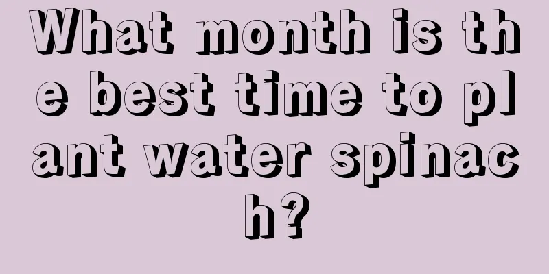 What month is the best time to plant water spinach?