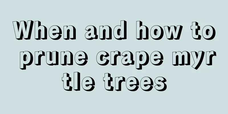 When and how to prune crape myrtle trees