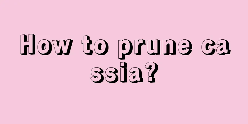 How to prune cassia?