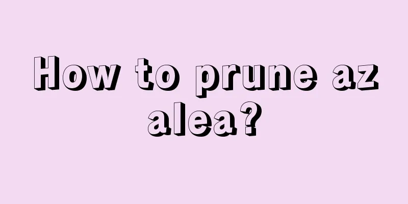 How to prune azalea?