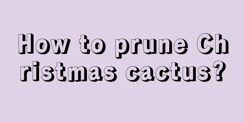 How to prune Christmas cactus?