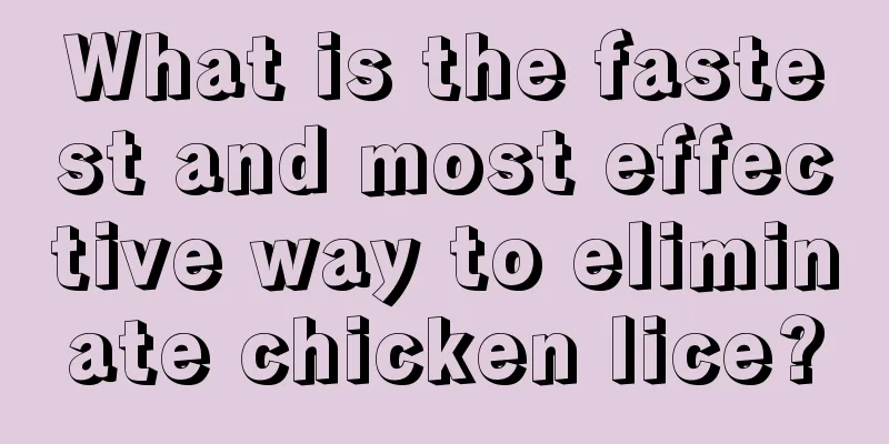 What is the fastest and most effective way to eliminate chicken lice?