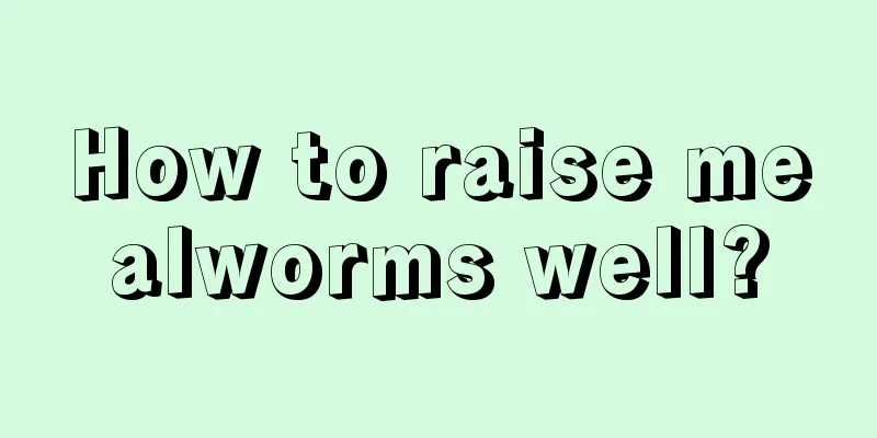 How to raise mealworms well?