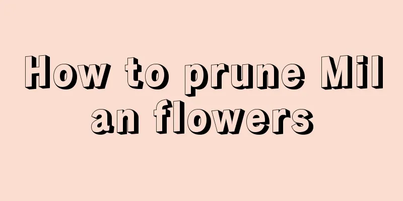 How to prune Milan flowers