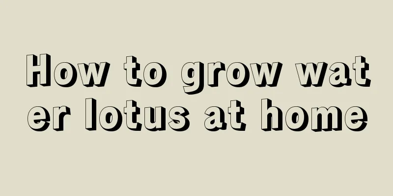 How to grow water lotus at home