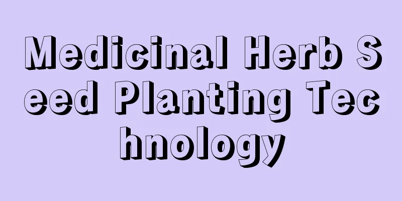 Medicinal Herb Seed Planting Technology