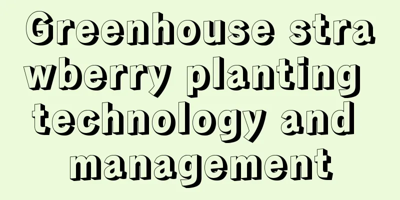 Greenhouse strawberry planting technology and management