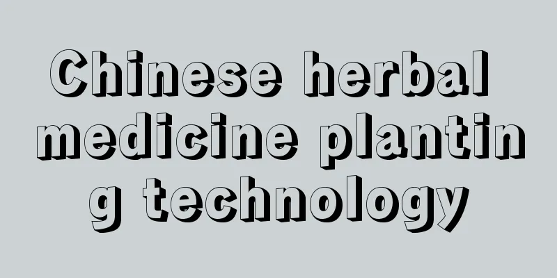 Chinese herbal medicine planting technology