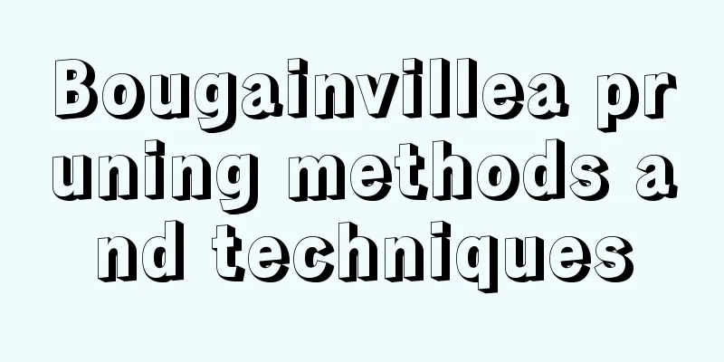 Bougainvillea pruning methods and techniques