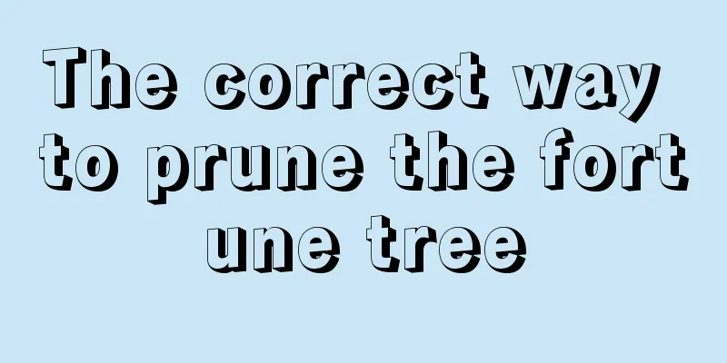 The correct way to prune the fortune tree