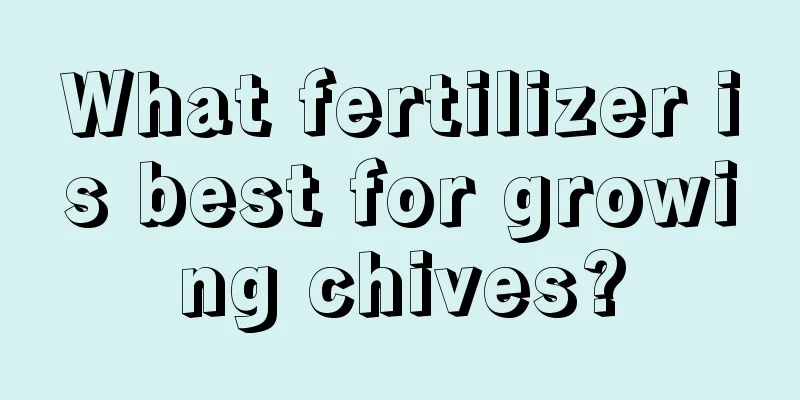 What fertilizer is best for growing chives?