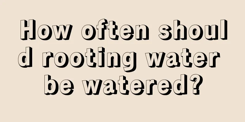 How often should rooting water be watered?