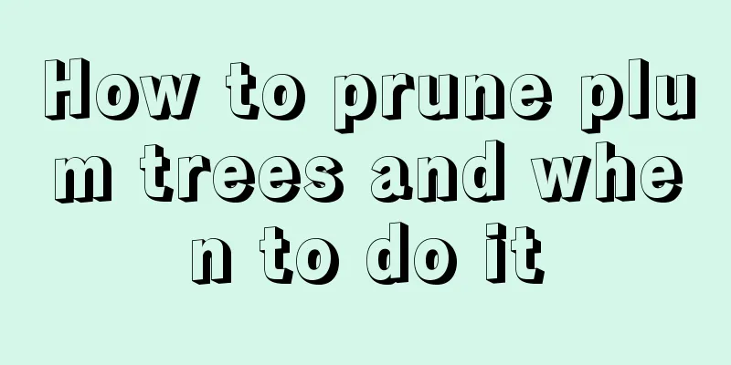 How to prune plum trees and when to do it