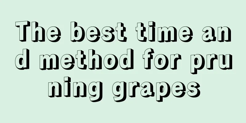 The best time and method for pruning grapes