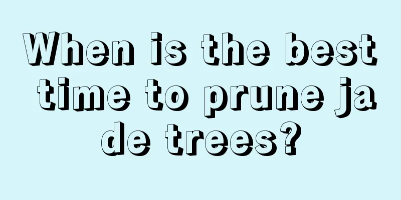 When is the best time to prune jade trees?