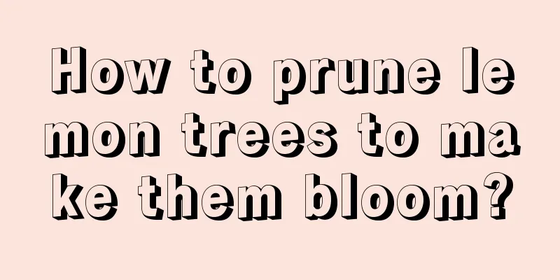 How to prune lemon trees to make them bloom?