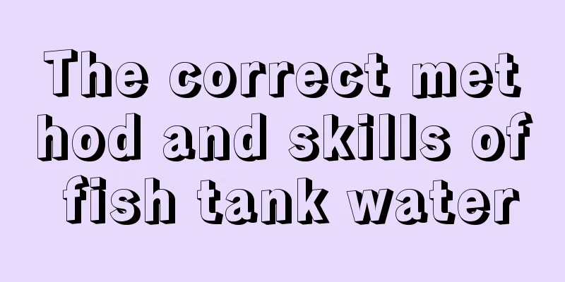 The correct method and skills of fish tank water