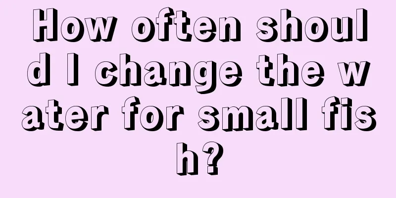 How often should I change the water for small fish?