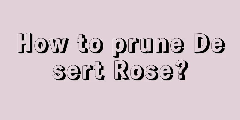 How to prune Desert Rose?