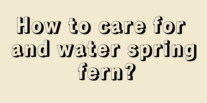 How to care for and water spring fern?