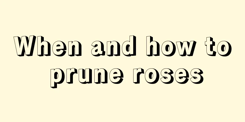 When and how to prune roses