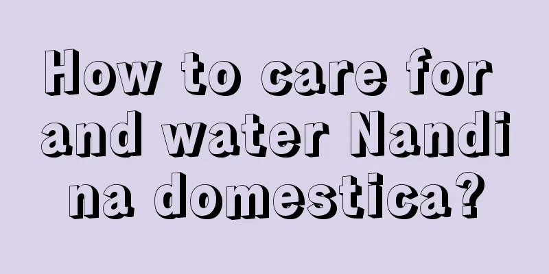 How to care for and water Nandina domestica?