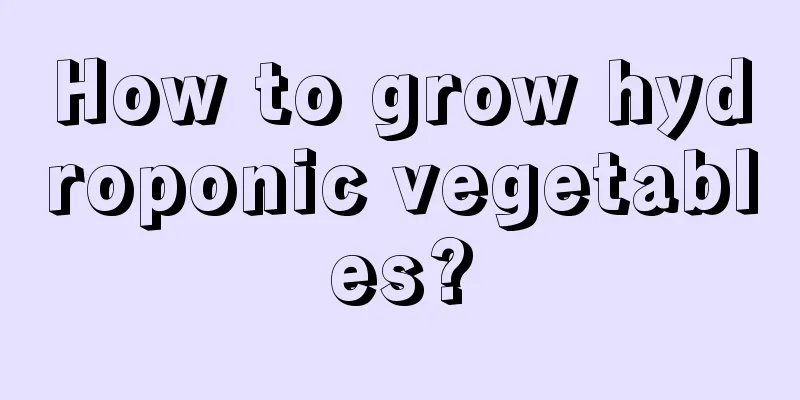 How to grow hydroponic vegetables?