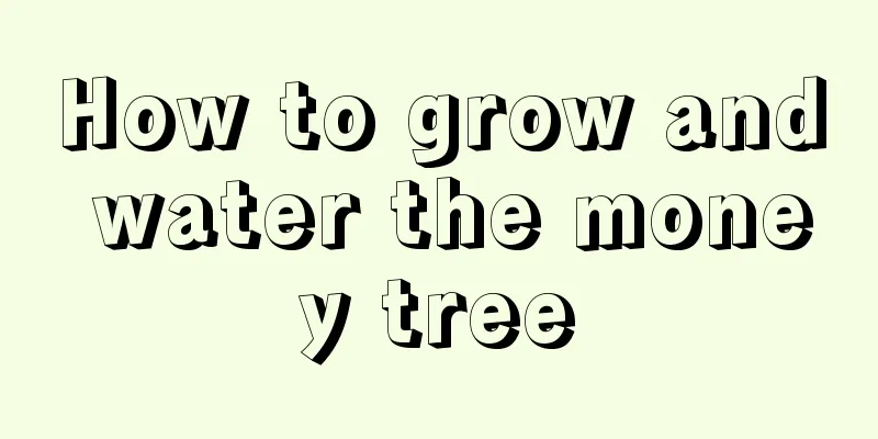 How to grow and water the money tree