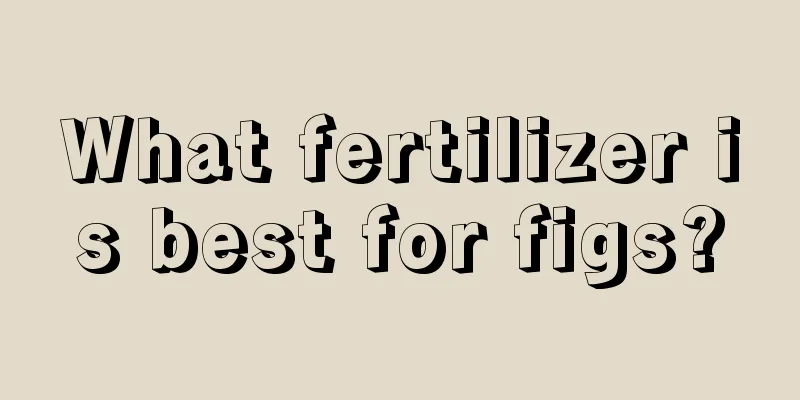 What fertilizer is best for figs?