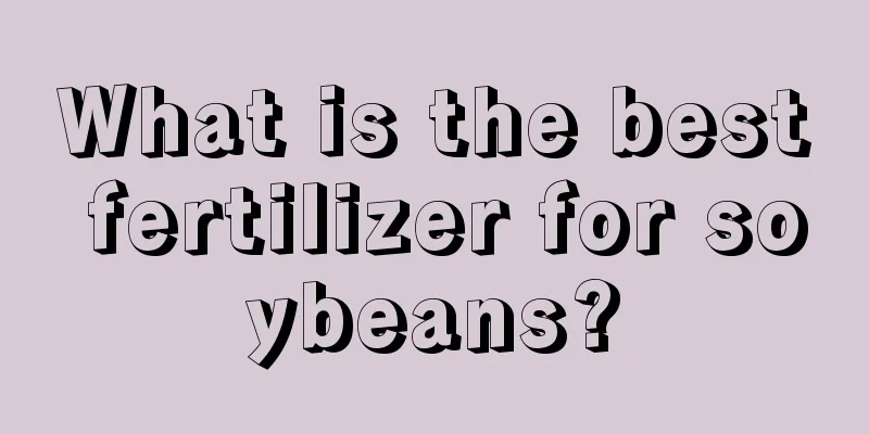 What is the best fertilizer for soybeans?