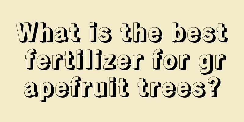 What is the best fertilizer for grapefruit trees?