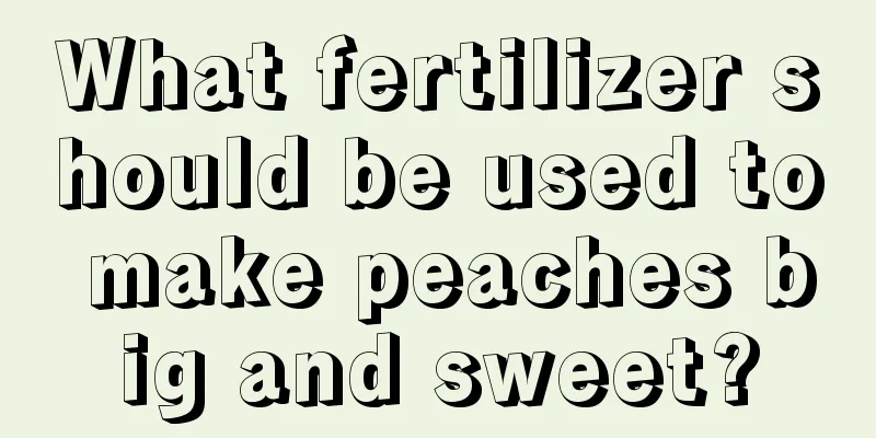 What fertilizer should be used to make peaches big and sweet?