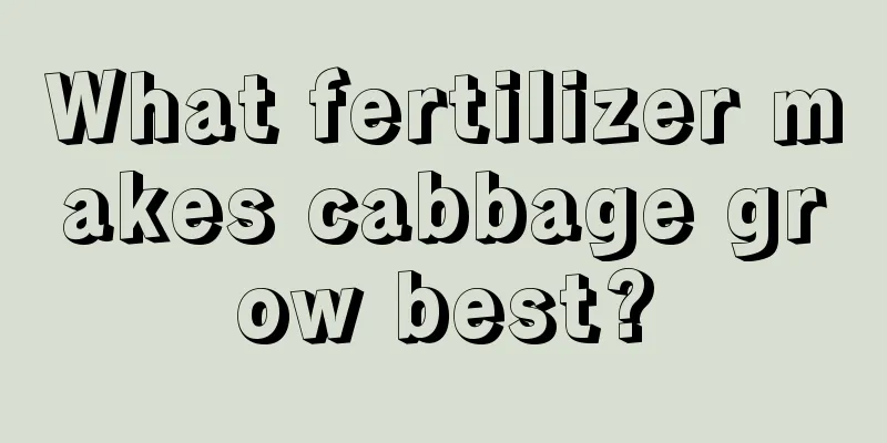 What fertilizer makes cabbage grow best?