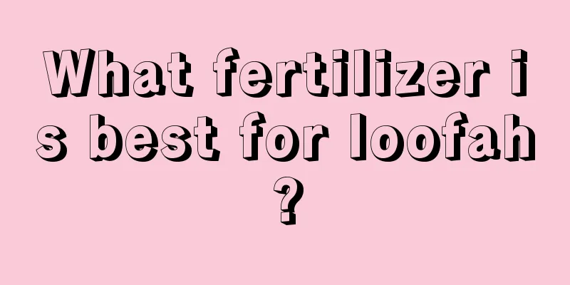 What fertilizer is best for loofah?