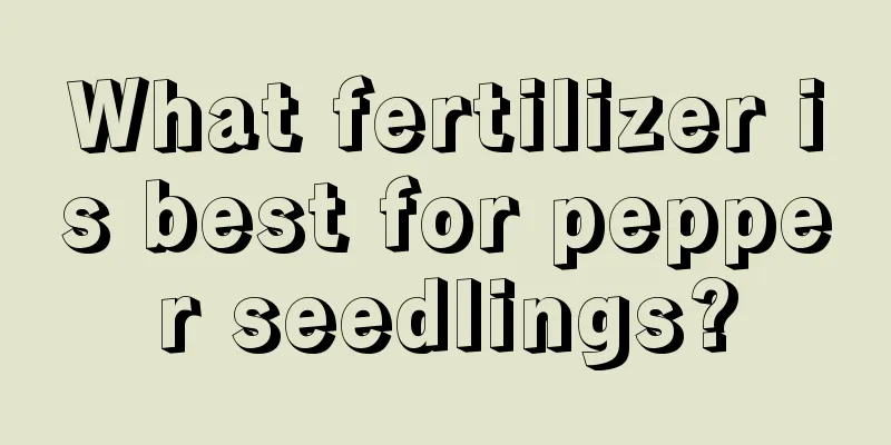 What fertilizer is best for pepper seedlings?