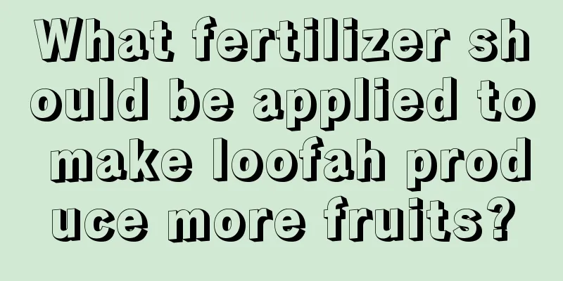 What fertilizer should be applied to make loofah produce more fruits?